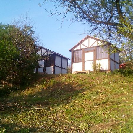 Hotel Буцький Каньйон Buki  Exterior foto